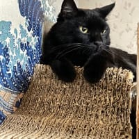 昨日の続きと…