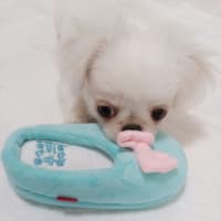 成績アップ(*^^*)