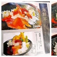 生シラス丼と海鮮丼　最高(^^)v　　　～島童子　　江の島～　