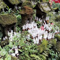 ひとり倶楽部活動開始！猛暑だけど佐助稲荷神社に御参り！
