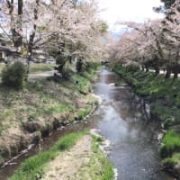 🅰️でがんす。　ちーちゃんのひとり言。