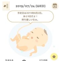 38w5d あと9日