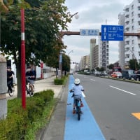 今日は帰路に。