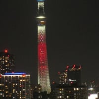 日向坂46の虹開催記念特別ライティング29