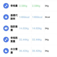２０２１年４月１２日付　体組成計記録UP