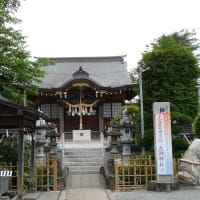 座間栗原の鎮守「栗原神社」境内で咲く「ザクロ」の花と一会！！