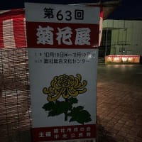 みやけなおこ と 尼人達 展（7月3日～） | NES's blog - 災害