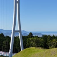三島スカイウォーク～日本最長の歩行者用吊り橋