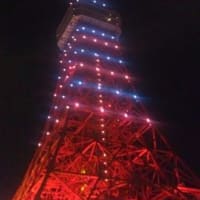 チョイご無沙汰の東京タワー日和  2012.11.3