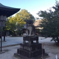 たまにはヘリオひとことコーナー 2022/10/27