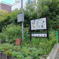 中延公園（品川区）