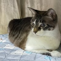 まだ梅雨明け・・してないよね？