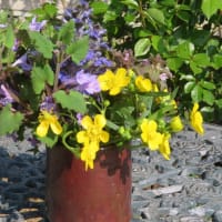 ラリック、アンティークーのミニグラスにお花を生けました！！！