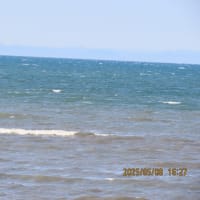 今日の海