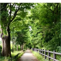 今日いち-2025年7月1日