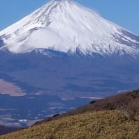 今年のご健康と健幸をお祈りいたします