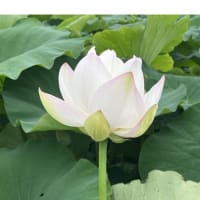 今日いち-2025年6月24日