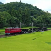 惰性な2263日目　75祭り