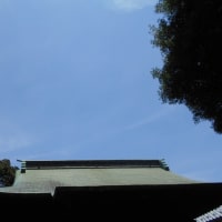 今日で6月も終わり…明日から7月…半夏生～ (￣ー￣)　続・蒟蒻ゼリー