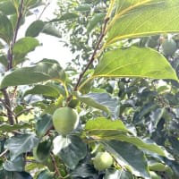 7月27日（日）②