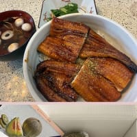 四万十川のウナギと守山のモリヤマメロンを美味しく頂く。