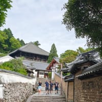 奈良に来ました