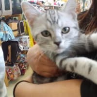 見つけました。超可愛い(≧∇≦)