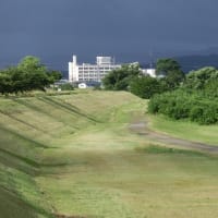 再掲；みちのくの夏2016 ～ 桜づつみ近くの最上川 ～