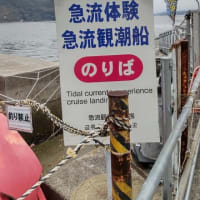 しまなみ海道サイクリング
