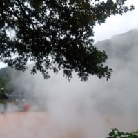 大分へ