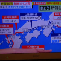 ほぼ全国の皆様、台風10号お見舞い申し上げます。