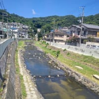 川遊びしたい