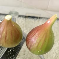 収穫