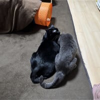 なかよしｗ