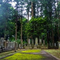 ぷちツー：紫陽花の日本寺へ（その1：境内巡り）