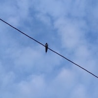 その場さえ過ぎればそれでいい