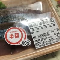 今日はアッキーの運動会だよ(^^)v