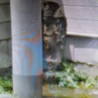 桐生市境野町の青面金剛など