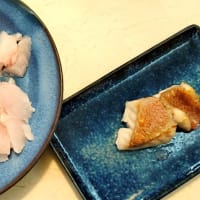 【食】幻の釣魚ベニアコウをいただく