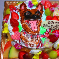 アニーの絵の誕生日ケーキ☆