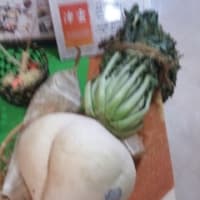 おっきな大根