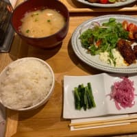 今日のランチ