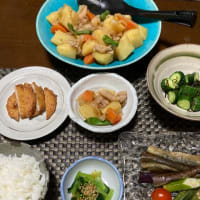 肉じゃがたっぷり作りました！！