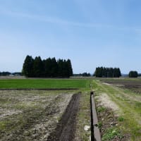 ★旧太田町長信田を往く－7⑦
