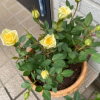 座ってばかりで固まりそう・・・