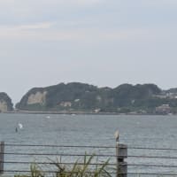 ７日　湘南