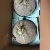 カナモト（9678）の株主優待の紹介