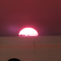 今日の夕日を追った