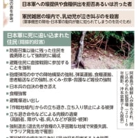 沖縄戦で日本軍が沖縄の人々を直接にも２９８人、間接的な殺人を含めると４７６６人殺した事実を「例外的に悲しい事件があった」と矮小化する参政党の神谷宗幣代表は、これからも市民の犠牲を気にしないだろう。