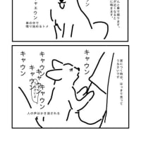 鳴き出すトメちゃ